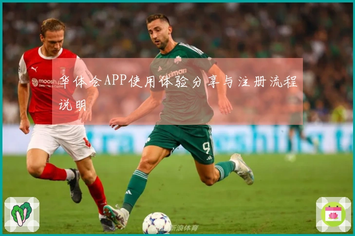 华体会APP使用体验分享与注册流程说明